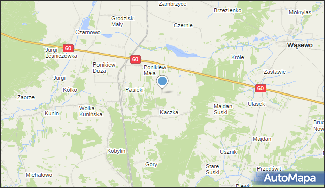 mapa Kolonia Kaczka, Kolonia Kaczka na mapie Targeo